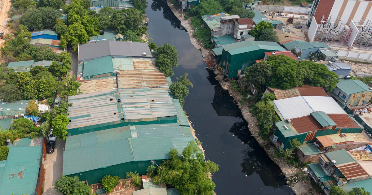 tienphong.vn