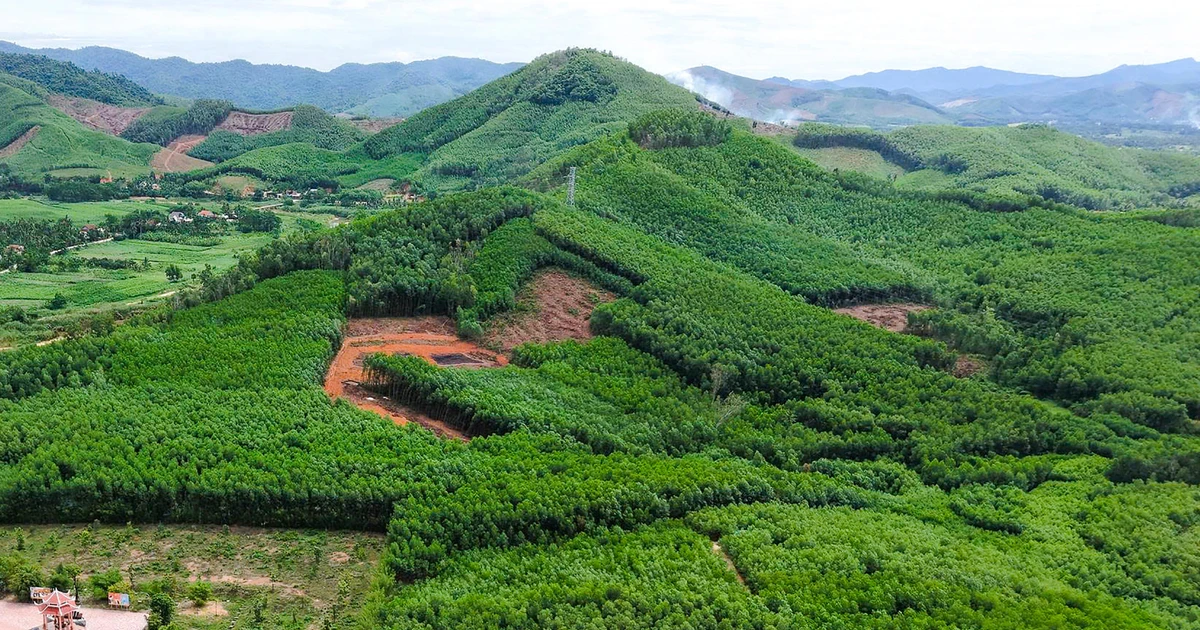 Khoanh vùng 3 vị trí nghi có hố chôn liệt sĩ