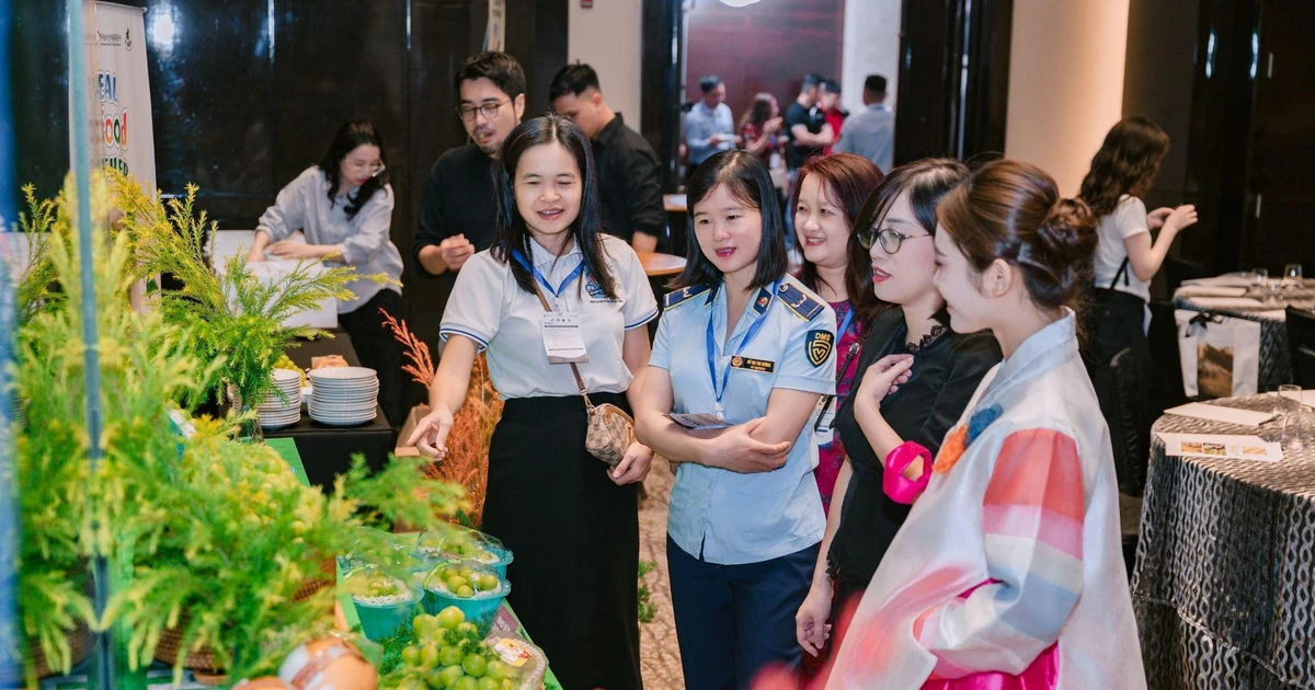 aT quảng bá lê và nho Hàn Quốc chính hãng tại Việt Nam