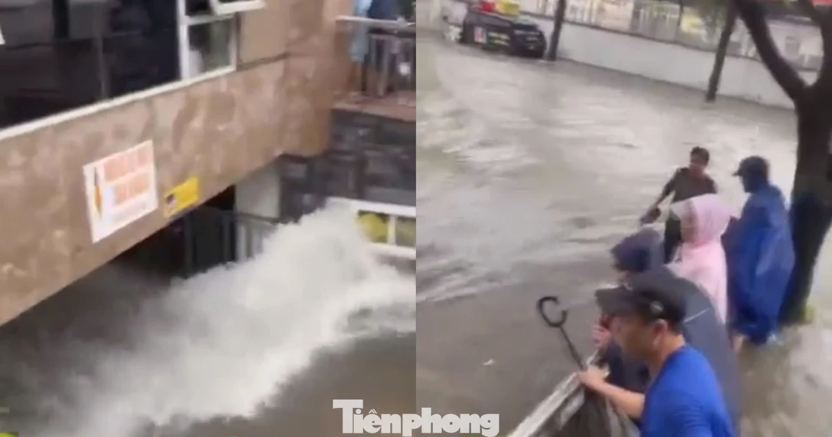 tienphong.vn