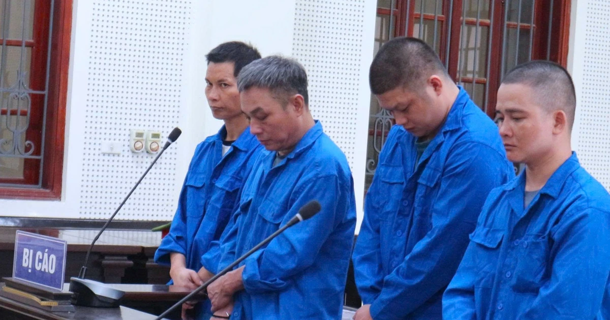 Đào ma túy chôn dưới vườn lên phơi nắng, người đàn ông bị bắt