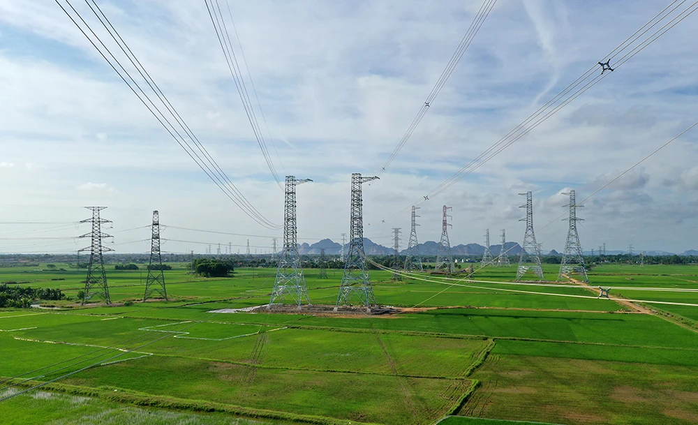 tienphong.vn