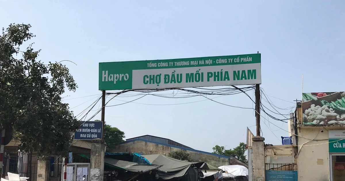 tienphong.vn