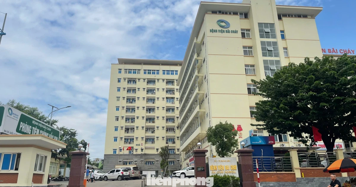 Chi tiết loạt gói thầu Công ty Việt Mỹ trúng liên quan Bệnh viện Bãi Cháy