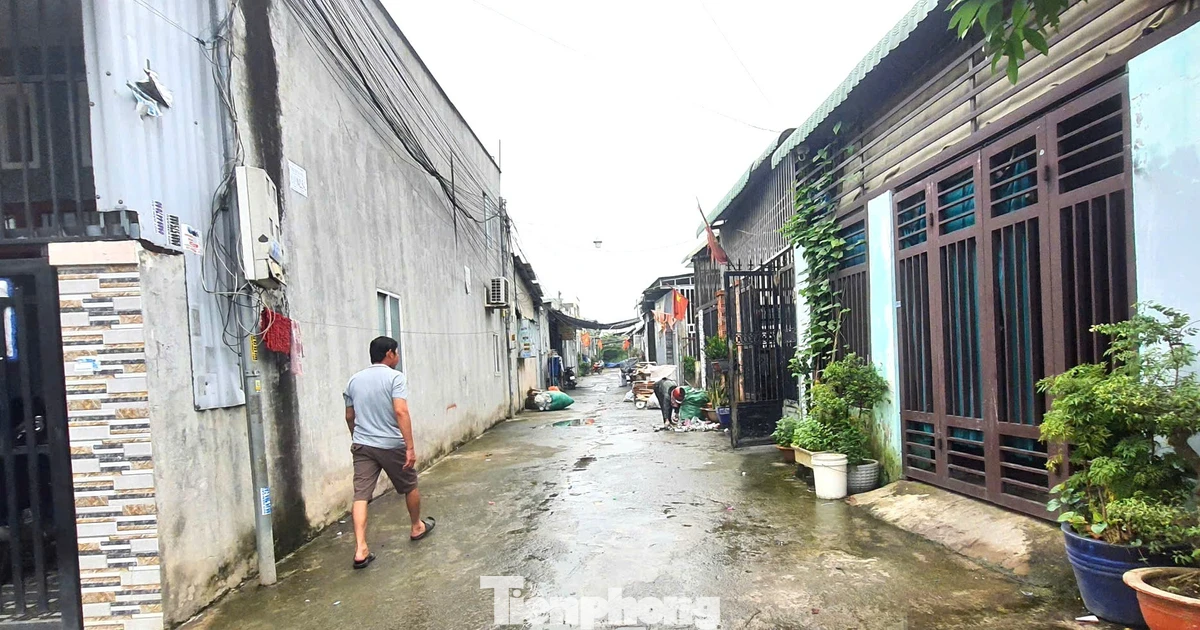 tienphong.vn