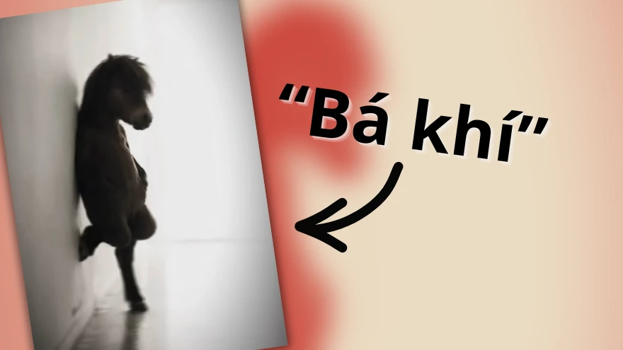 Giải mã từ khóa “bá khí” của giới trẻ hiện nay trên MXH