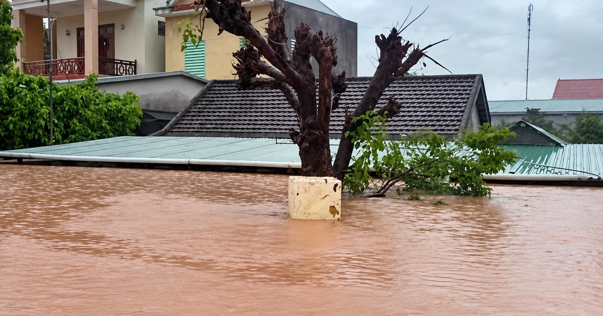 Mưa lũ bủa vây nhiều vùng Quảng Trị, hàng trăm nhà dân chìm trong 'biển nước'