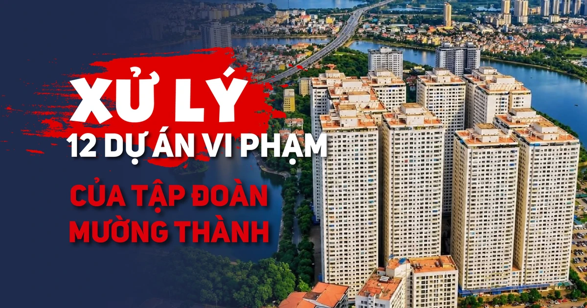 Xử lý 12 dự án vi phạm của Tập đoàn Mường Thành: Chủ đầu tư phải nộp và chi trả những khoản nào?