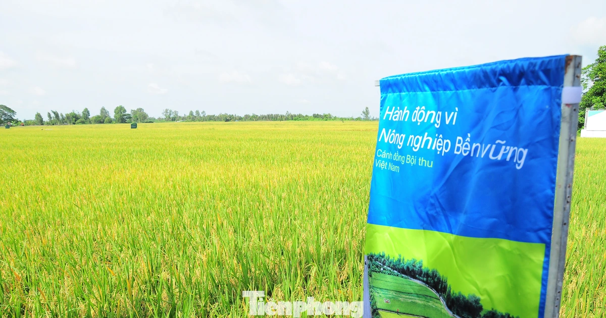 Nông sản xuất khẩu cần đáp ứng tiêu chuẩn 'xanh'