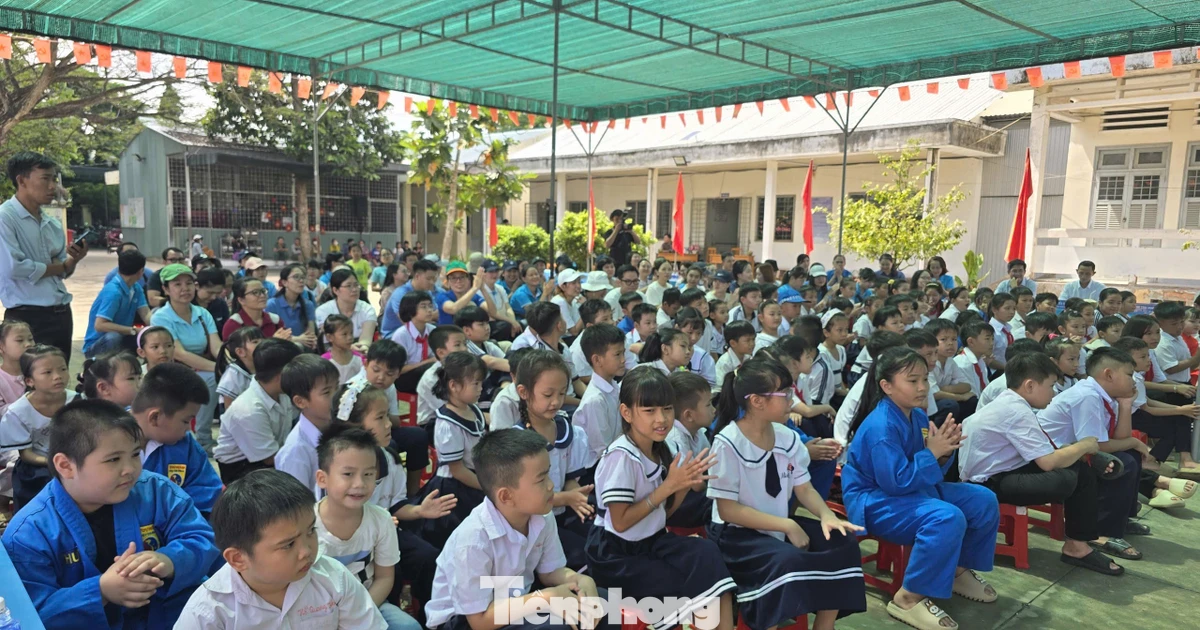 Vĩnh Long giảm hơn 670 đầu mối trường công