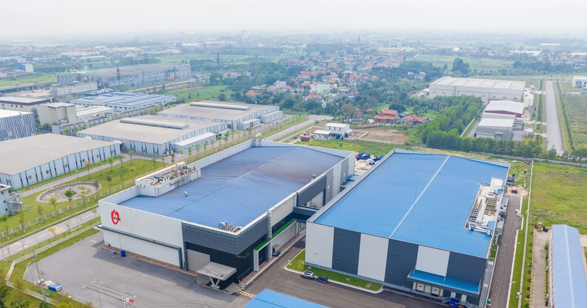 Daesang đặt mục tiêu 1.000 tỷ won tại Đông Nam Á: Việt Nam giữ vai trò gì?