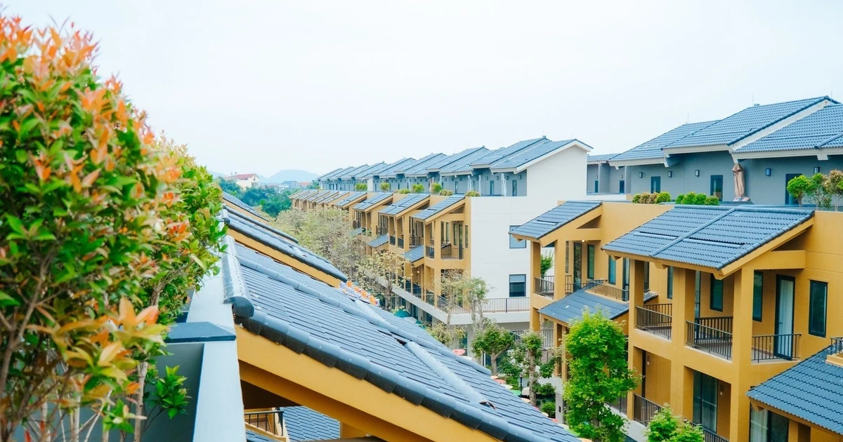 Vụ nữ Việt kiều Mỹ bị xâm hại ở Phú Thọ: Nạn nhân bị 'chuốc' rượu, khống chế bằng sức mạnh
