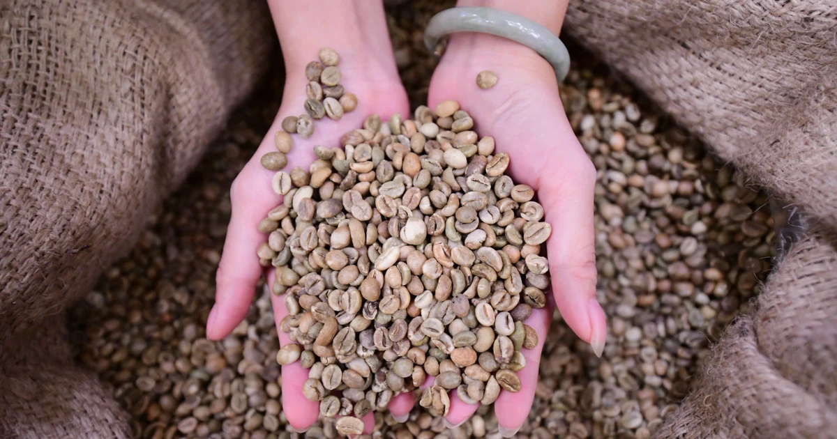 Hiến kế để người tiêu dùng nhận ra Robusta Việt ngay từ ngụm đầu tiên