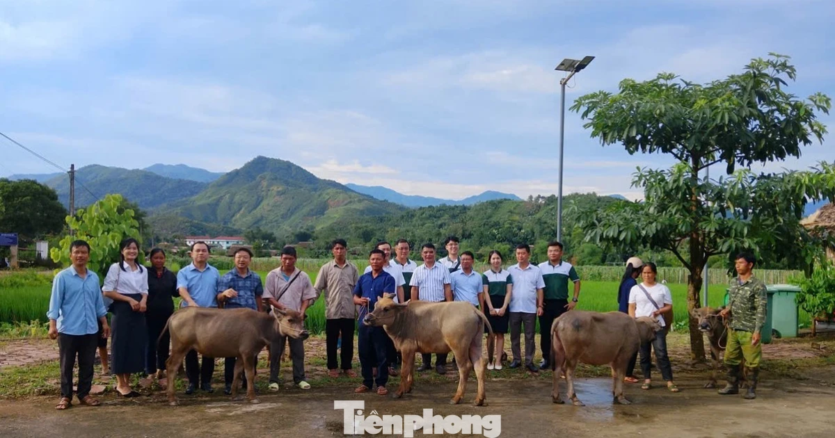 Lào Cai: Dân đăng ký quyết tâm thoát nghèo, xã kêu gọi doanh nghiệp tặng "đầu cơ nghiệp"