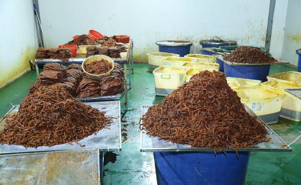 Bắt 4 người trong đường dây 'hô biến' thịt trâu thành...khô bò