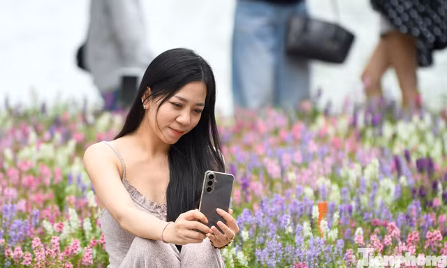 Nàng thơ nô nức check-in với loài hoa mới lạ ở Bờ Hồ 