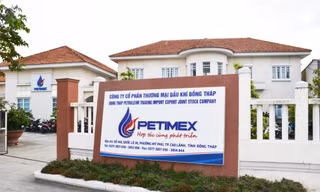 Thanh tra Chính phủ đề nghị điều tra vụ Petimex bán 185 triệu lít xăng dầu không hóa đơn