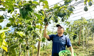 Lào Cai đặt mục tiêu giải ngân ít nhất 75% vốn chương trình mục tiêu quốc gia trong tháng 10