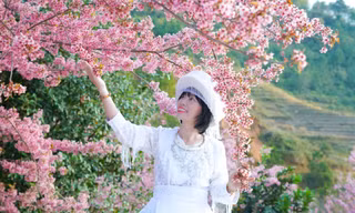 Đổ xô du lịch Sa Pa, Mù Cang Chải 