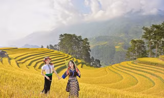 Mù Cang Chải mùa lúa chín đẹp như tranh