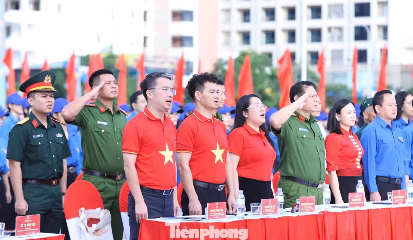 tp-2hgb6em2dap7bm23p2j6mpusez9m8vvj1oow.jpg