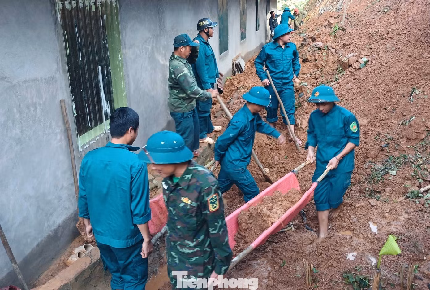 tp-nm6.jpg