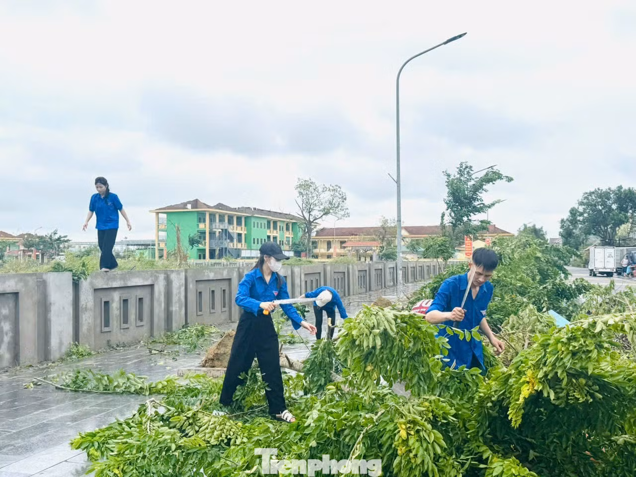 tp-2124945a6809e357ba18.jpg