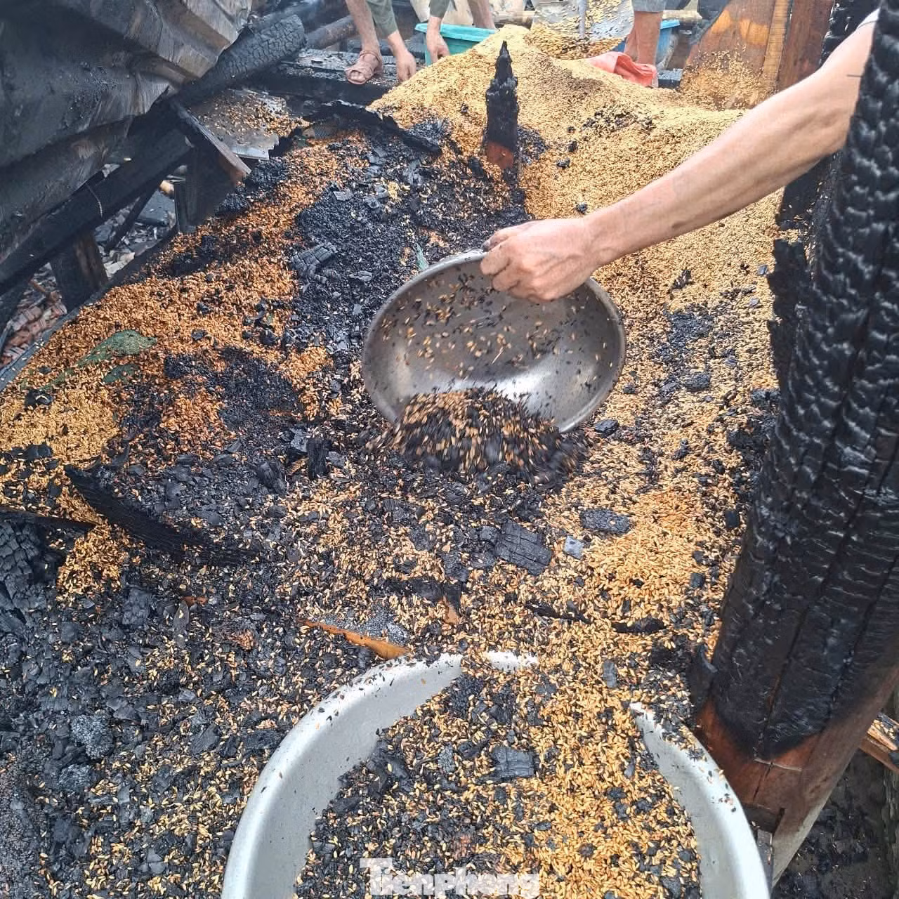 tp_829873754-1569082645260981-7447712850848209641-n.jpg