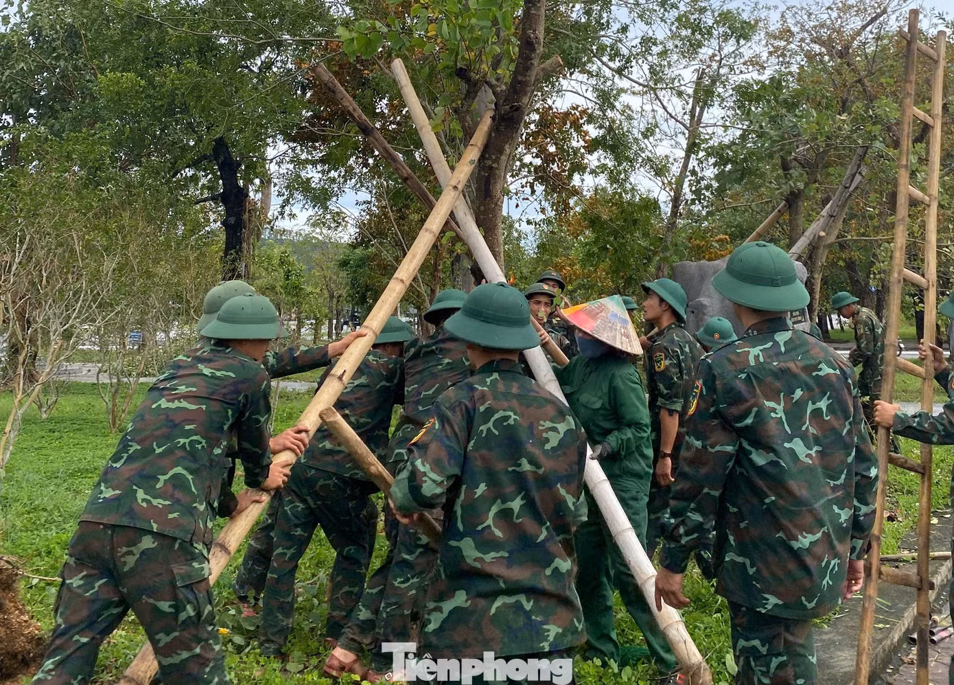 tp-adf2e102e7e86db634f914.jpg