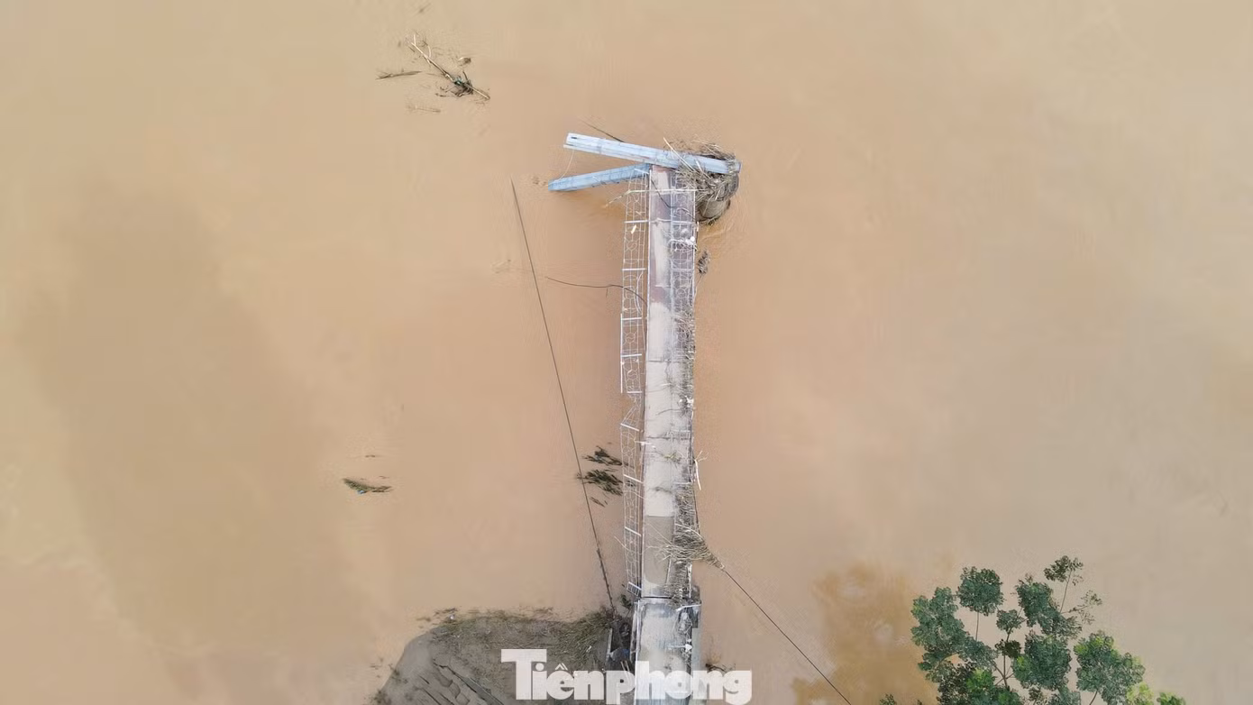 tp-17.jpg