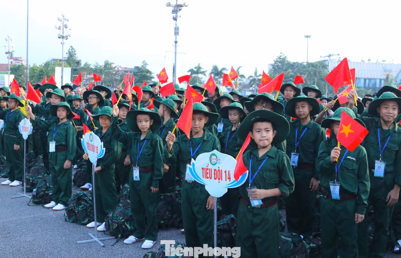 tp-11.jpg