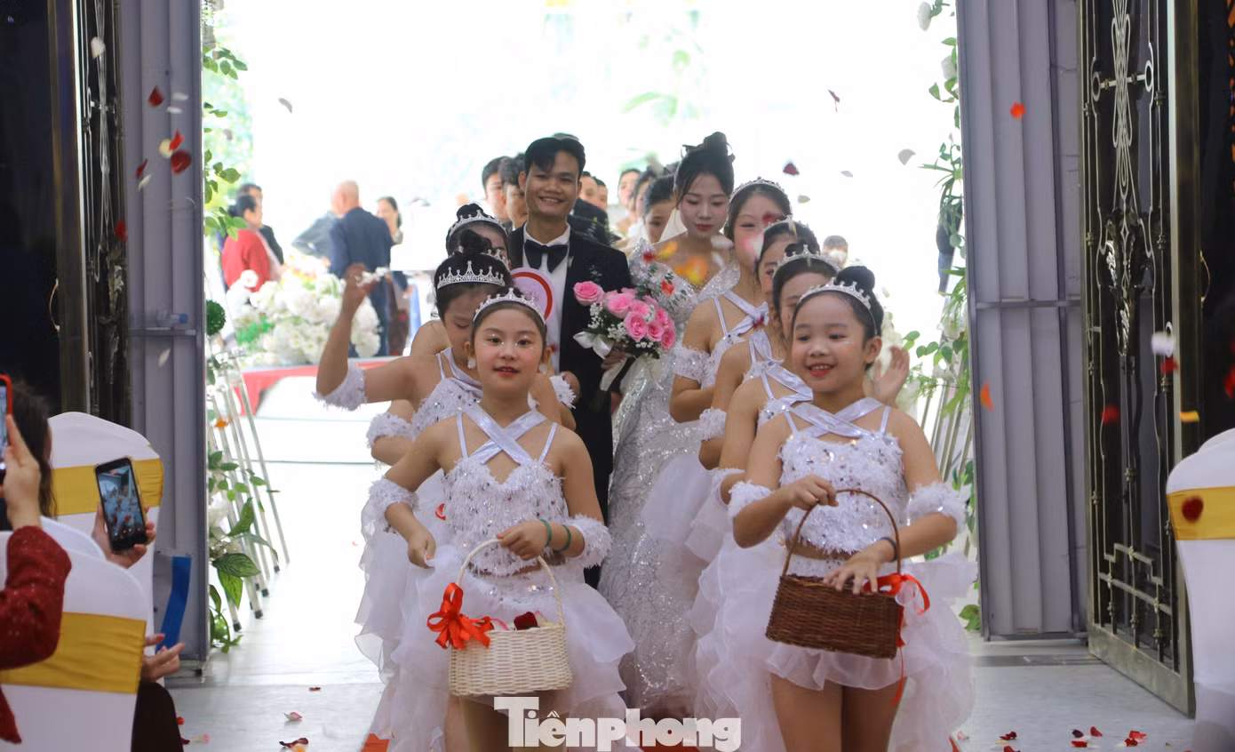 tp-p3.jpg