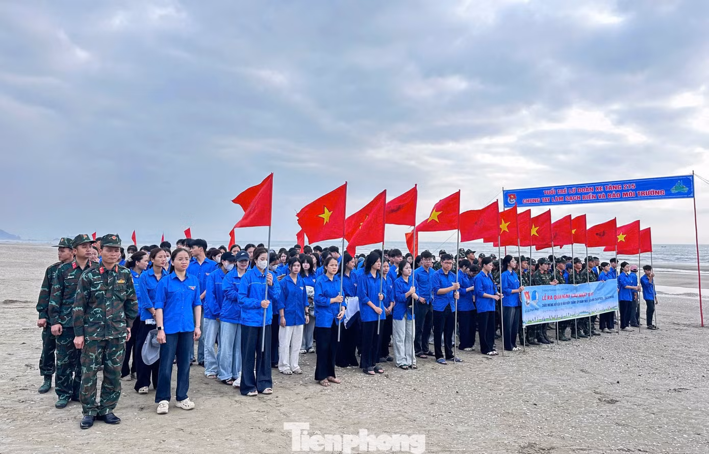 tp-qp15.jpg