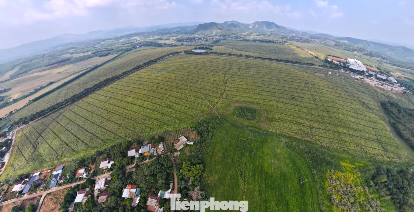 tp_dji-export-20261015-151023-1792051823948-sphere-screenshot.jpg