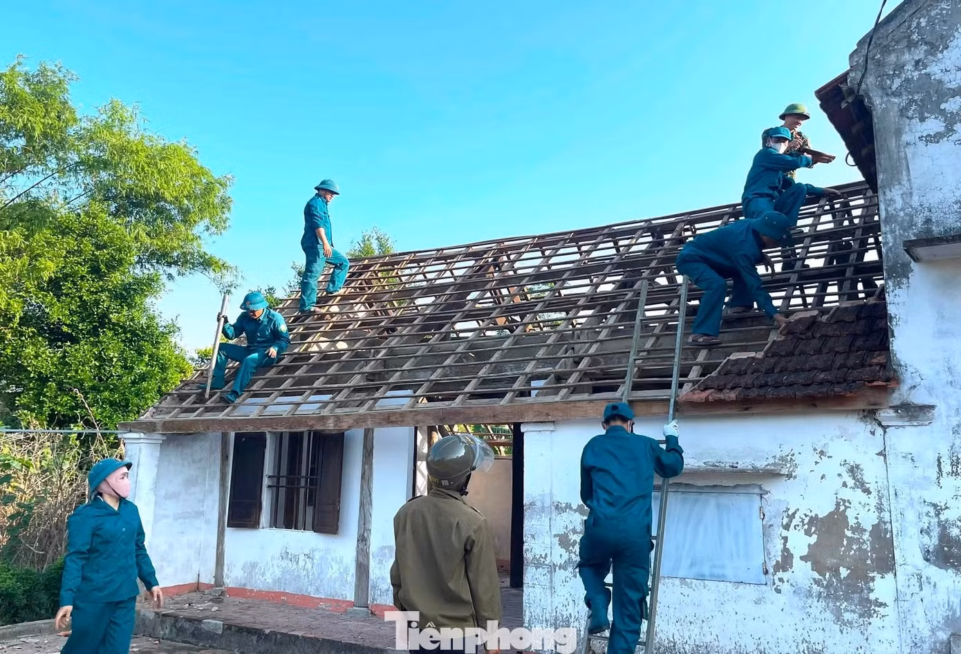 tp-tnhan1.jpg