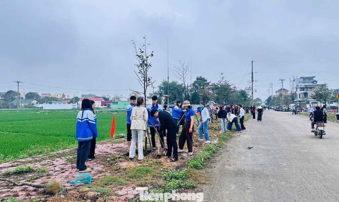 tp-ythanh.jpg