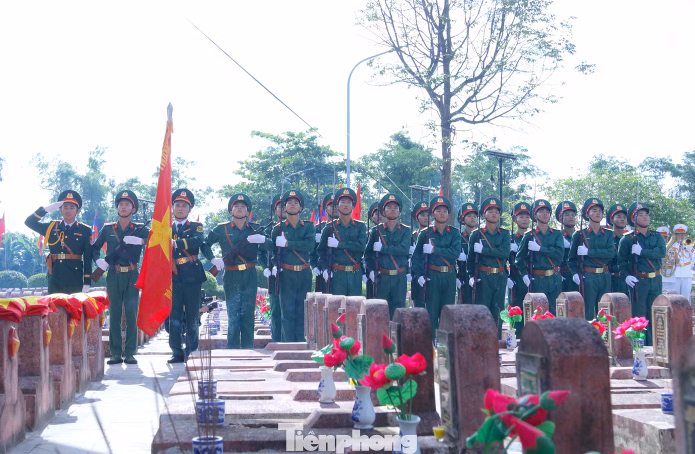 tp-img-0934.jpg