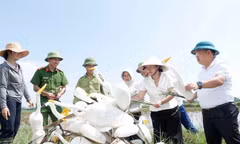 Ngành chức năng tích cực tham gia tháo dỡ “ma trận” bẫy chim trời mùa chim di cư