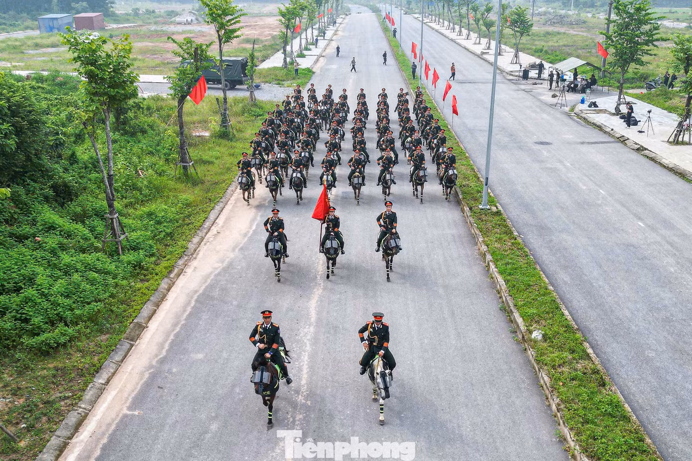 tp-d-33.jpg