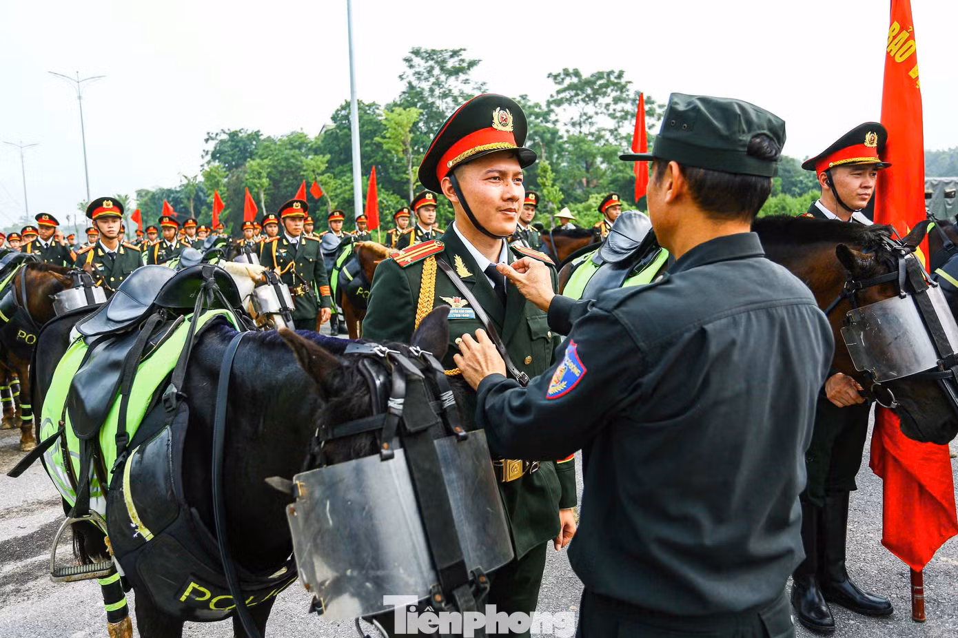 tp-d-65.jpg