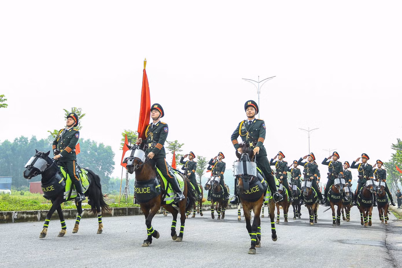 d-113.jpg