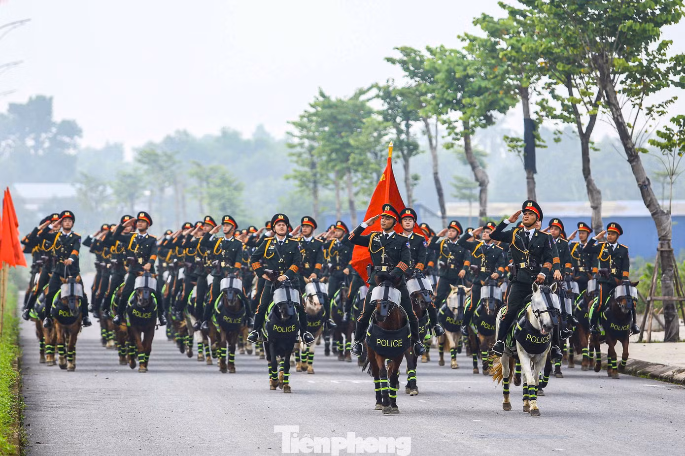 tp-d-18.jpg