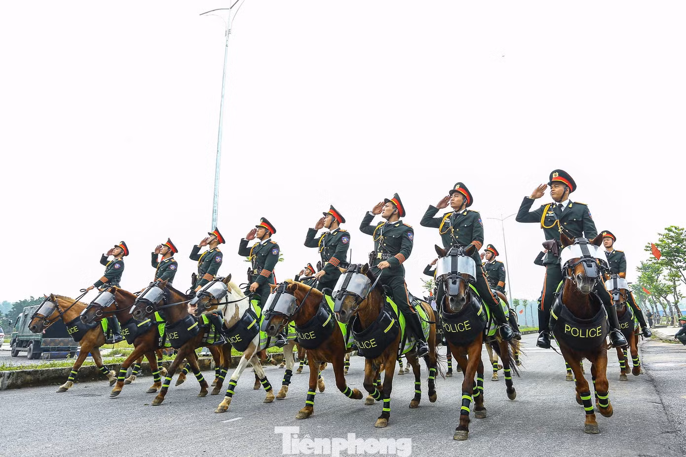 tp-d-119.jpg