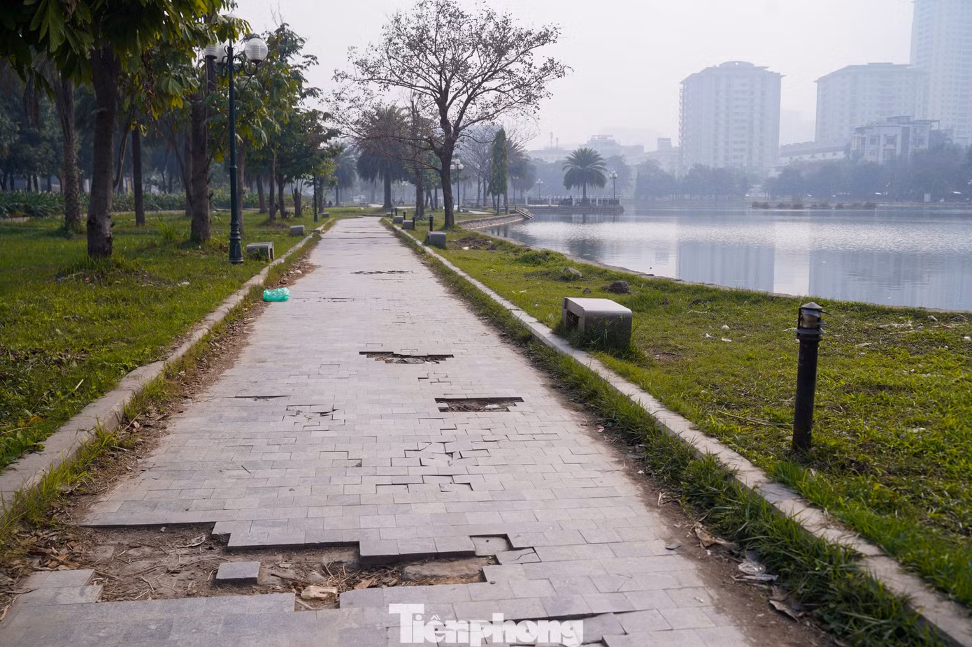 tp-tienphong-1381.jpg