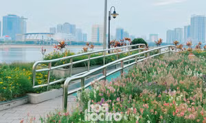 Ngoài hoa violet Nhật gây sốt, công viên An Hòa còn có view ngắm hoàng hôn xịn