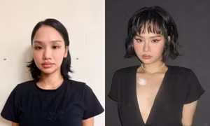 Ca sĩ Miu Lê bị khởi tố, bắt tạm giam trong vụ tổ chức sử dụng trái phép chất cấm