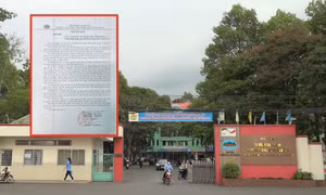 Vì sao nam sinh viên bịa đặt câu chuyện xe khách chở đến biên giới Campuchia?