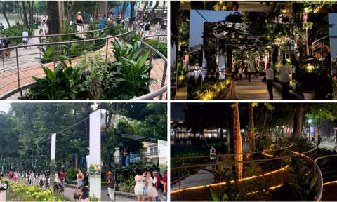 CORTIS biểu diễn tại F1 Singapore: Khán giả bức xúc vì fan chen lấn gây hỗn loạn