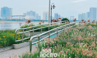 Ngoài hoa violet Nhật gây sốt, công viên An Hòa còn có view ngắm hoàng hôn xịn