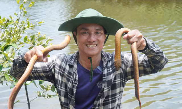 Nghề 'xe lịch' độc lạ của dân Cà Mau